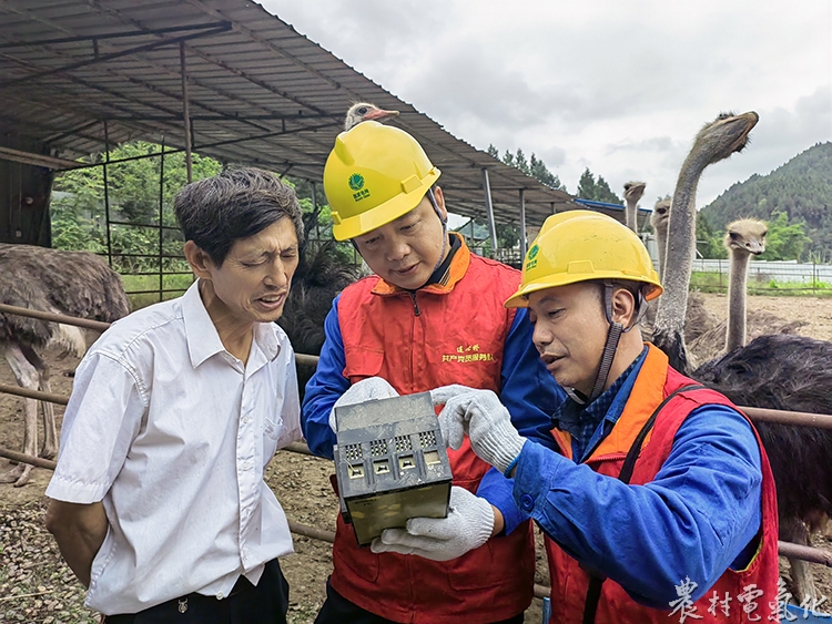 5月26日，党员服务队队员为蓬溪县分水岭养殖专业合作社负责人讲解漏电保护器工作原理。.jpg