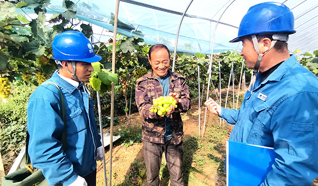 农村电气化信息网讯：（通讯员 于绍迎）10月26日，国网枣庄供电公司山亭供电中心服务人员正在西集镇水果大棚种植基地进行用电服务走访，帮助果农排查消除用电设备安全隐患，现场测量冷库用电质量、温度，了解用电服务需求，护航果树灌溉安全可靠用电，助力果农增产增收。