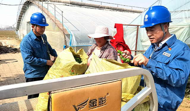 农村电气化信息网讯：（通讯员 于绍迎）10月25日，山东省枣庄供电公司山亭供电中心服务人员入户走访蔬菜大棚种植农户，了解大棚灌溉用电，帮助检查测量抽水用电设备，确保蔬菜灌溉用电需求，助力菜农增产增收。