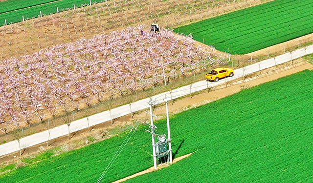 农村电气化信息网讯：（通讯员 白水平  陈欢欢）3月28日，国家电网河南电力（孟州）焦裕禄共产党员服务队在河南省焦作孟州市10千伏谷南线古城东分支进行线路巡视，助力春播春灌用电无忧。