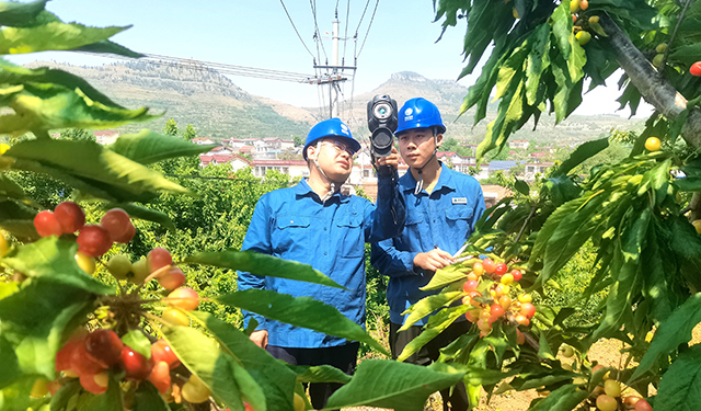 农村电气化信息网讯：（于绍迎）5月10日，山东省枣庄供电公司山亭供电中心服务人员正在走访山亭区水泉镇火樱桃种植基地客户，询问了解果农灌溉用电服务需求，巡测并消除果农灌溉用电设备安全隐患，确保果树灌溉用电安全可靠，助力果农高产增收。