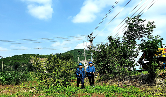 农村电气化信息网讯：（通讯员　于绍迎）7月21日， 国网枣庄供电公司山亭供电中心运维人员正冒高温对10千伏配电线路进行新一轮强降雨后特巡检查，详细排查消除设备安全隐患，确保高温天气城乡居民生活可靠用电。