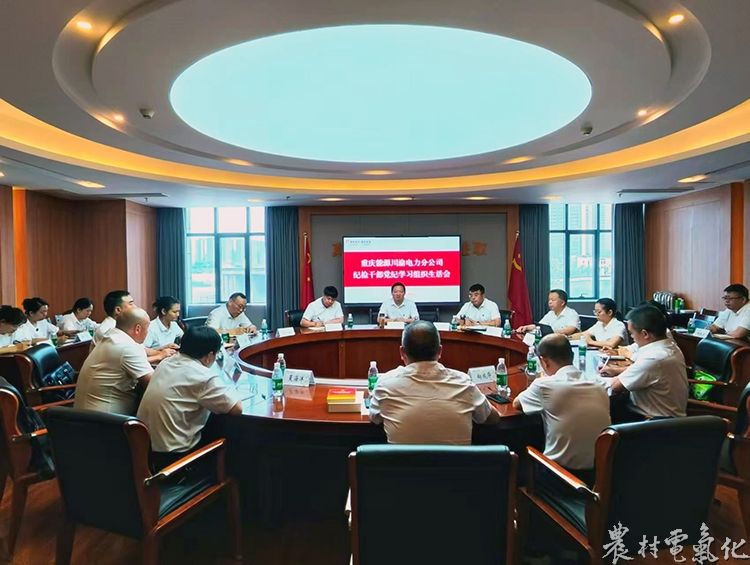 图4：开展纪检干部党纪学习教育组织生活会.jpg