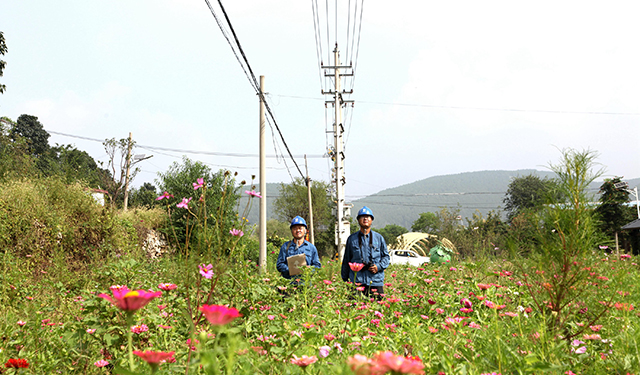 电网运维值班人员加大所辖供电线路、配电台区巡视巡测频次，消除鸟巢、漂浮异物等安全隐患7处。