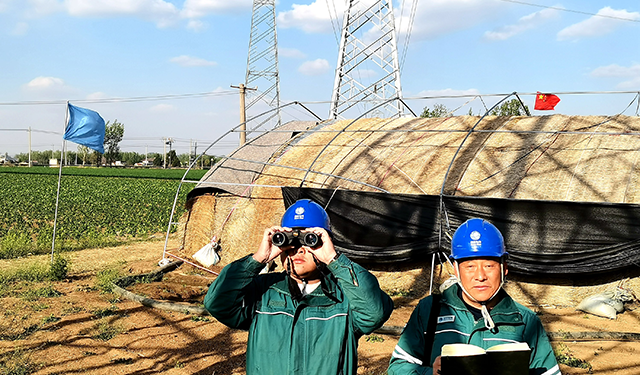 农村电气化信息网讯：（通讯员　于绍迎）4月14日，国网枣庄供电公司山亭供电中心运维人员在大风天气结束后，继续加大电网沿线塑料大棚、陈旧厂房等特殊区域、地段供电线路巡视检查力度，现场对大棚覆盖易漂浮物进行加固处理，消除电网安全外破隐患，确保电网稳运稳供。