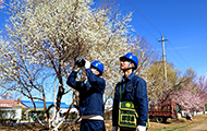蒙东赤峰敖汉旗供电：线路巡检确保春灌期间线路稳定运行
