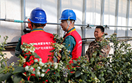 国网敖汉旗供电公司:服务大棚种植企业冬季用电设备安全